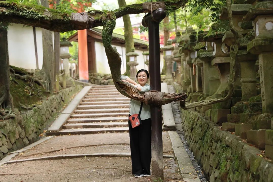 Nara Park